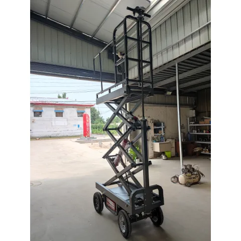 पोल्ट्री हाउस लिफ्ट निरीक्षण गाड़ी