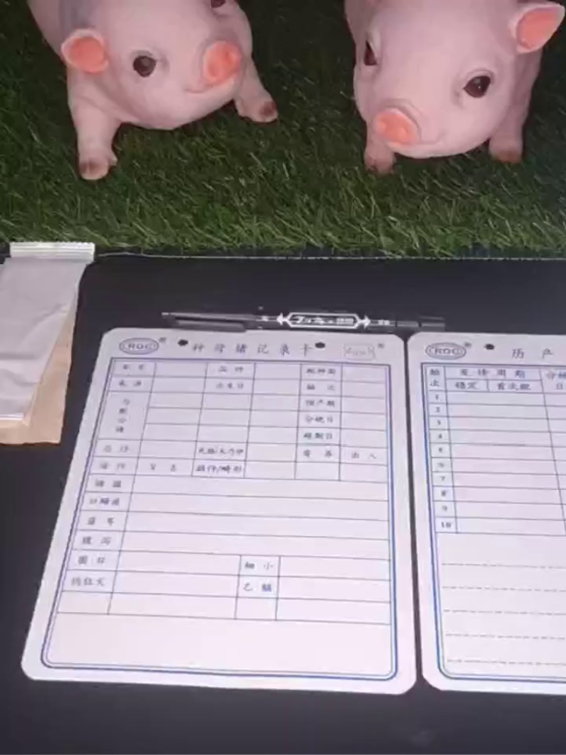 Fiche de suivi des truies