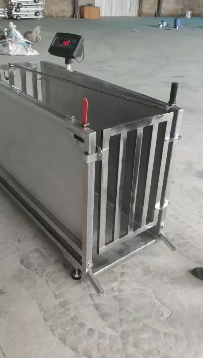 video(10)