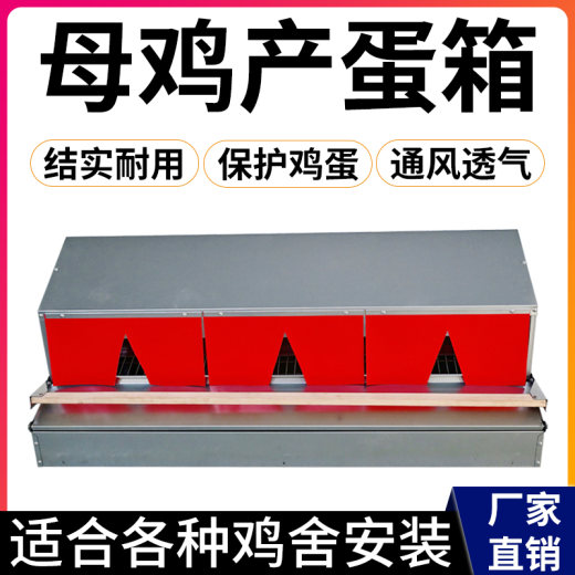 产蛋箱1
