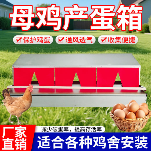 自动滚蛋箱