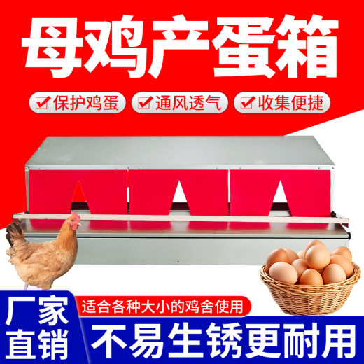 自动滚蛋箱1