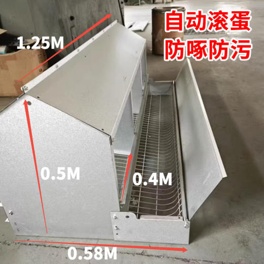 1_【仅剩21台】自动滚蛋产蛋箱