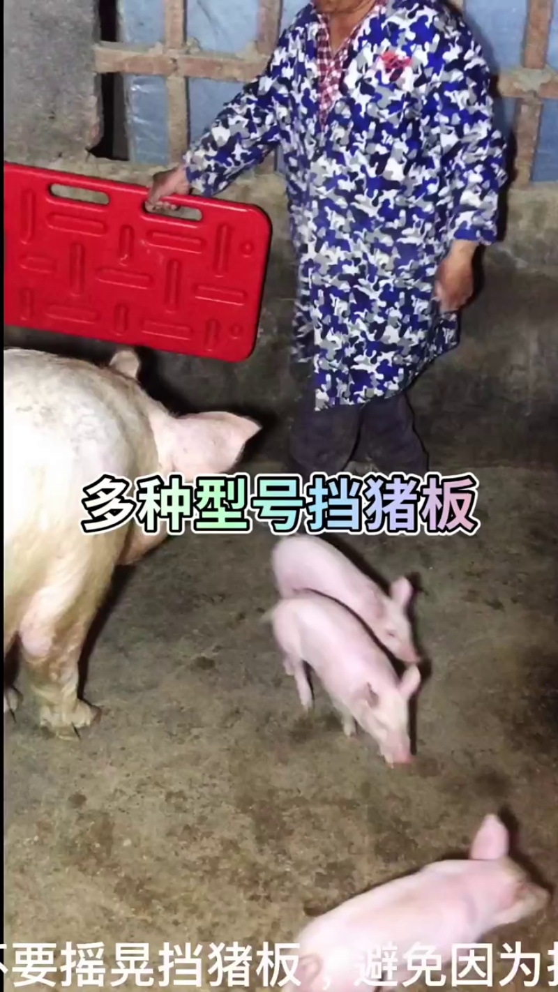video(30)