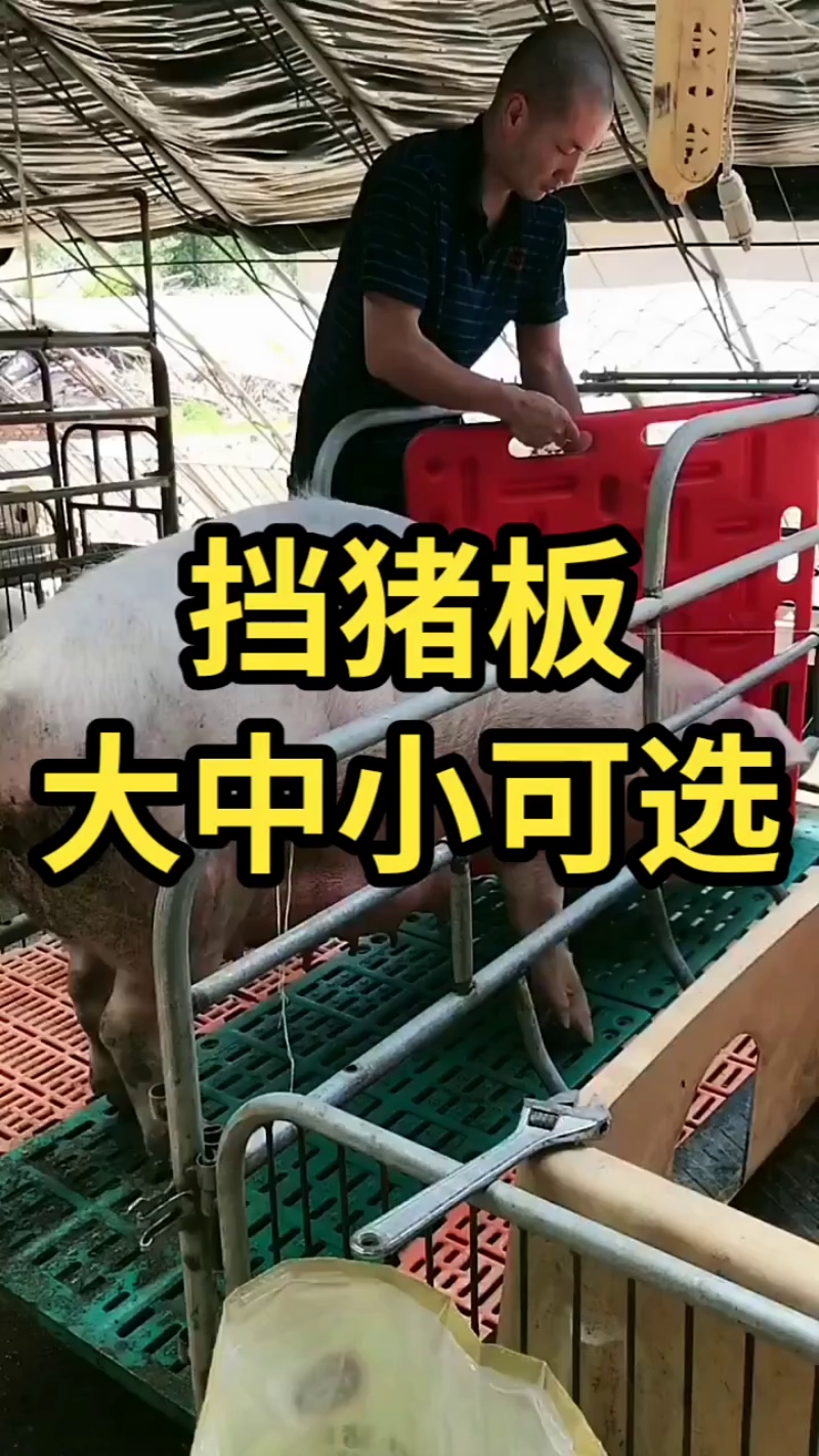 video(35)