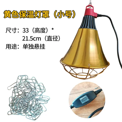 Product #41