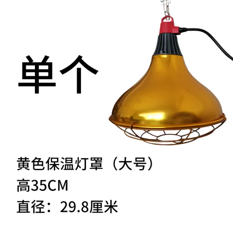 Product #41
