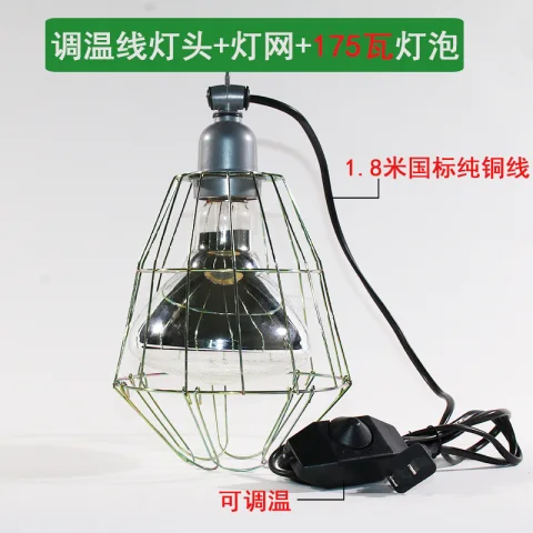 Product #41