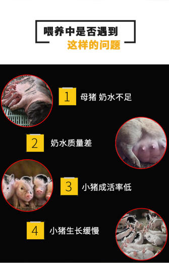 小猪奶粉详_02