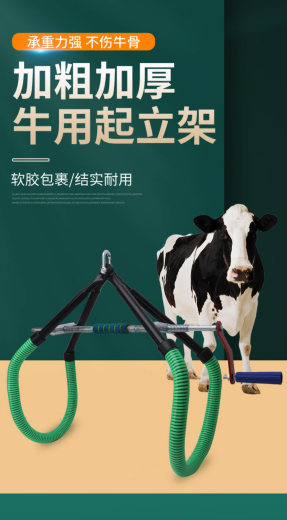 详情图片(长图)_1_看图王_01
