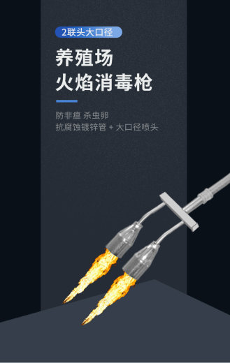 2联火焰枪_01