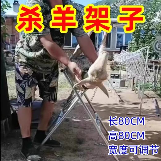 1.1 (1)