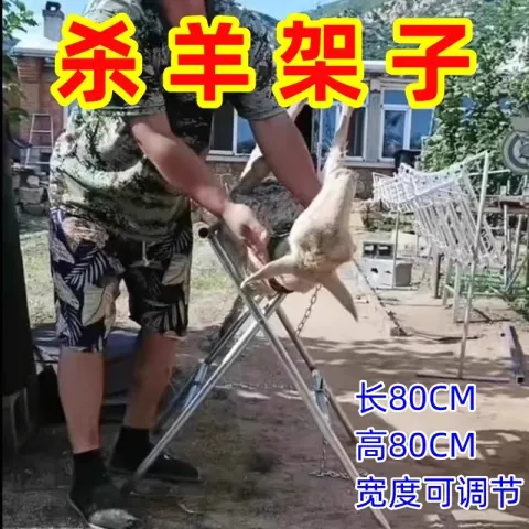 1.1 (1)