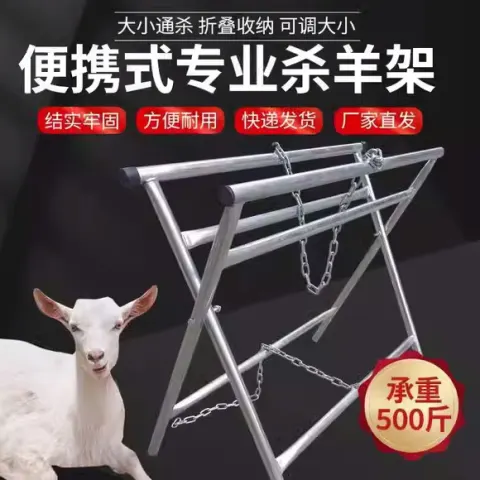 主图_1