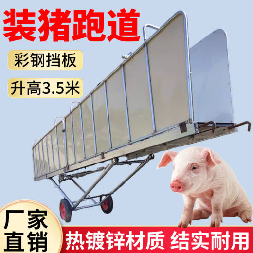 装猪跑道