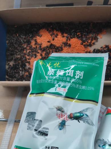 微信图片_20250528181130