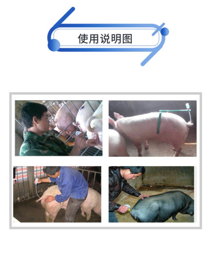 输精瓶详_07