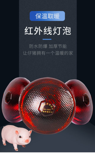 红色麻面100W详_01