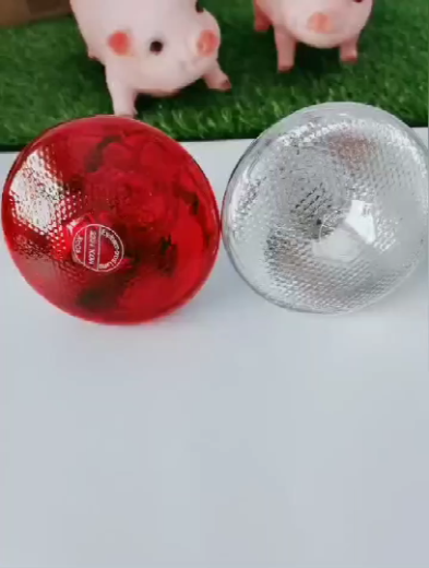 保温灯泡