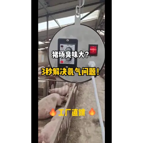 Verbrennungsgas-Prozessor