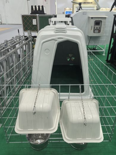 犊牛岛 (1)