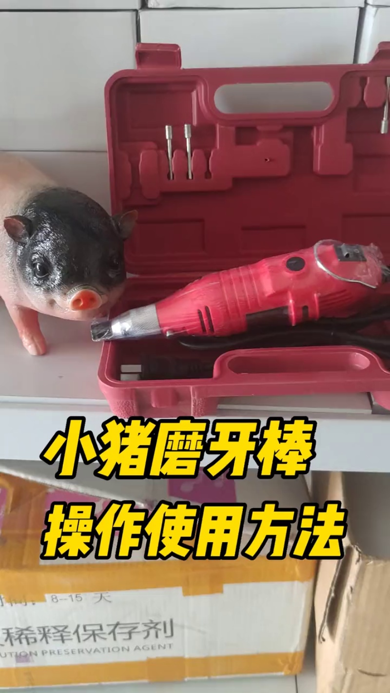 TikVideo.App_7192906492494744843