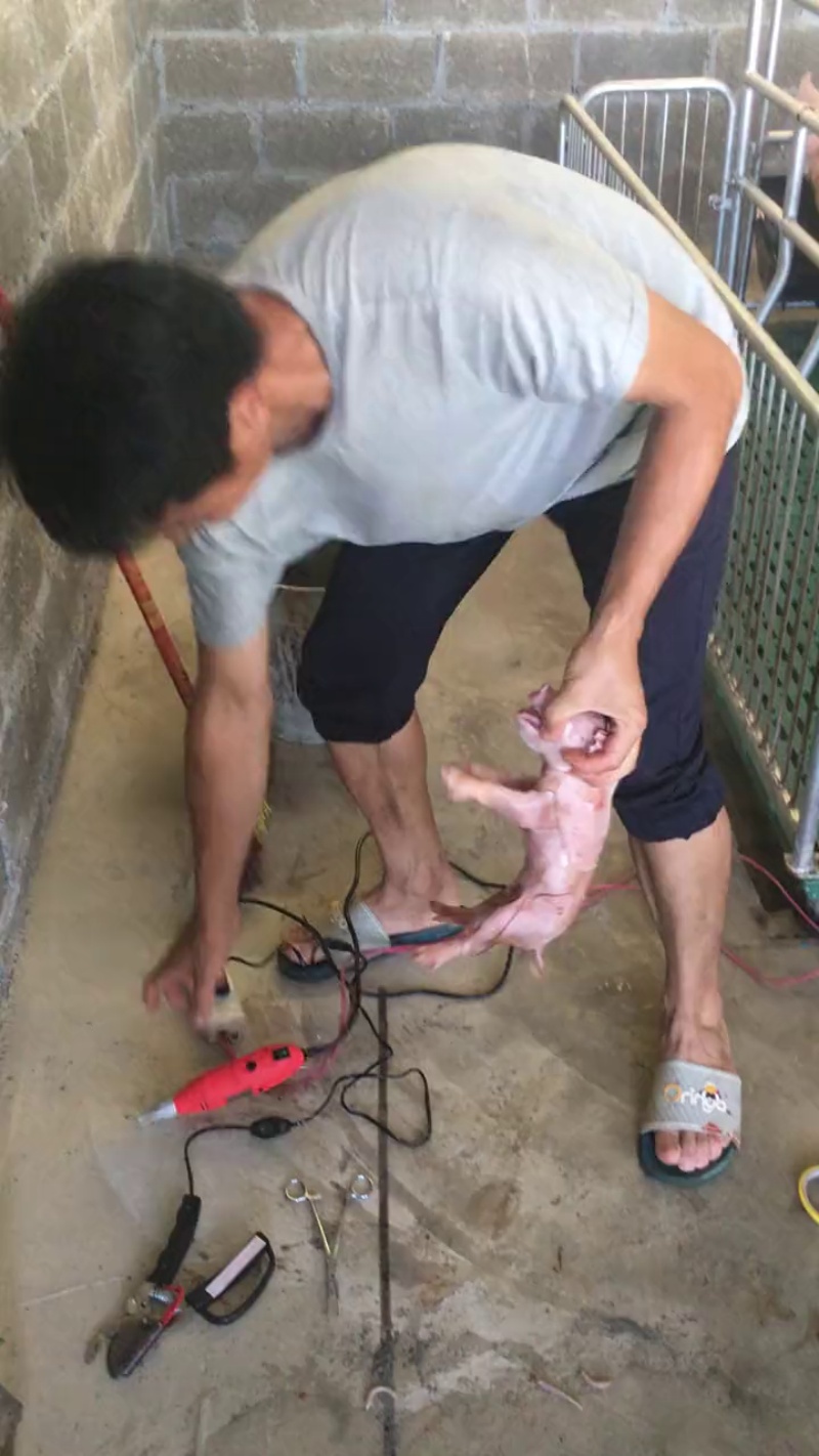TikVideo.App_7214247646762978616