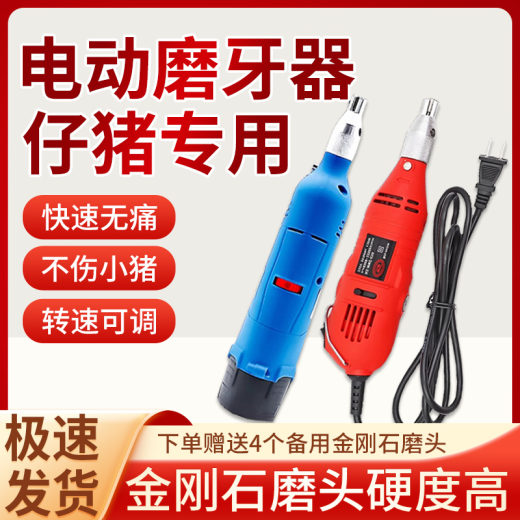 仔猪磨牙器