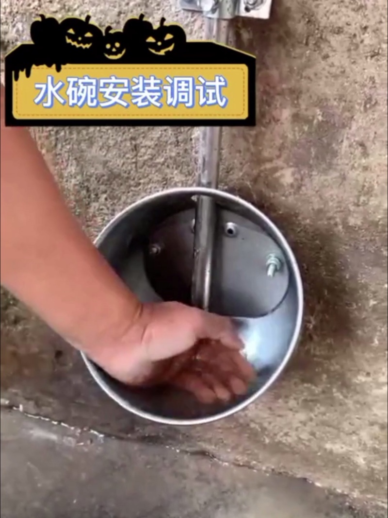 Contrôleur du niveau d'eau des animaux