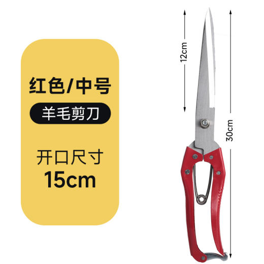 5_红色 中号