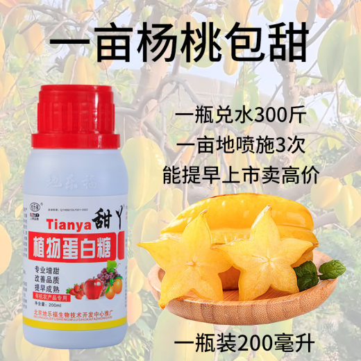 杨桃1
