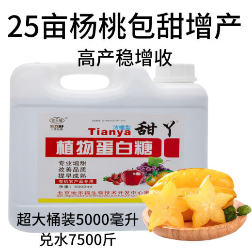 杨桃3