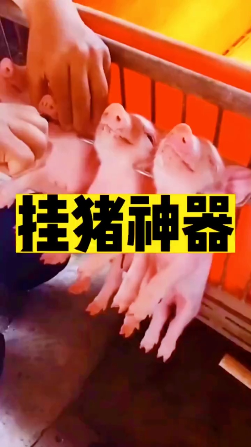 TikVideo.App_7220978651137871164