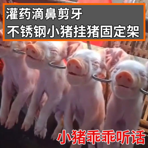 挂猪架3