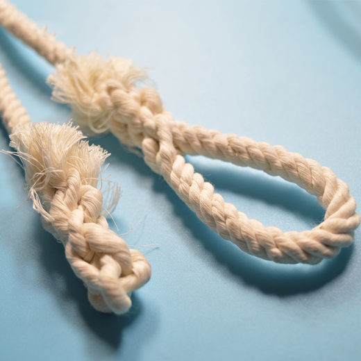 牛助产绳 (2)