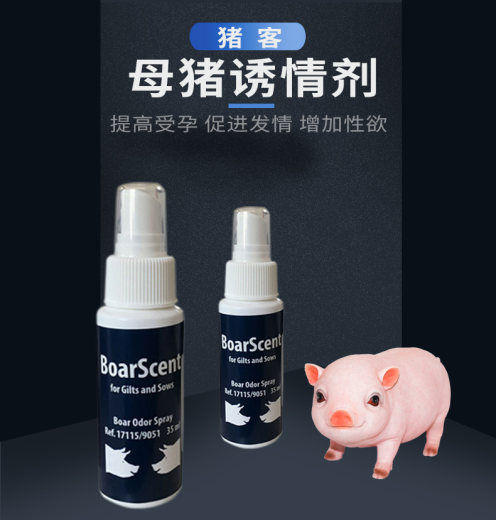 详情页_01