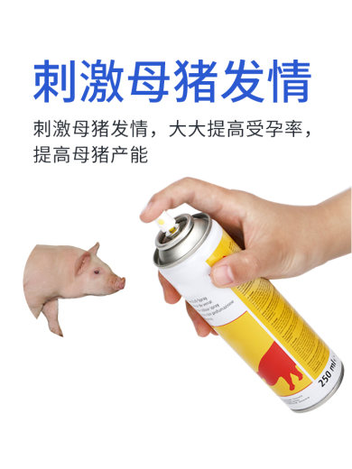 细节