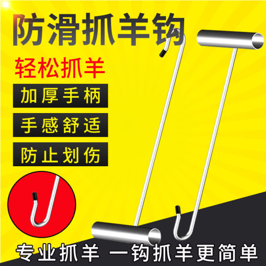 主图