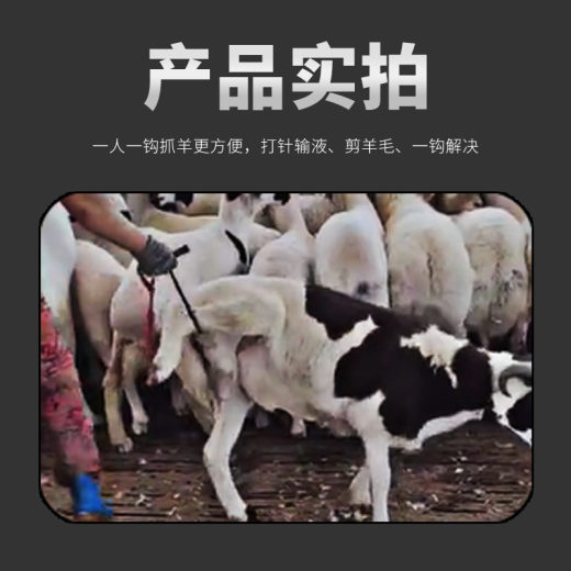 抓羊钩副-(3)