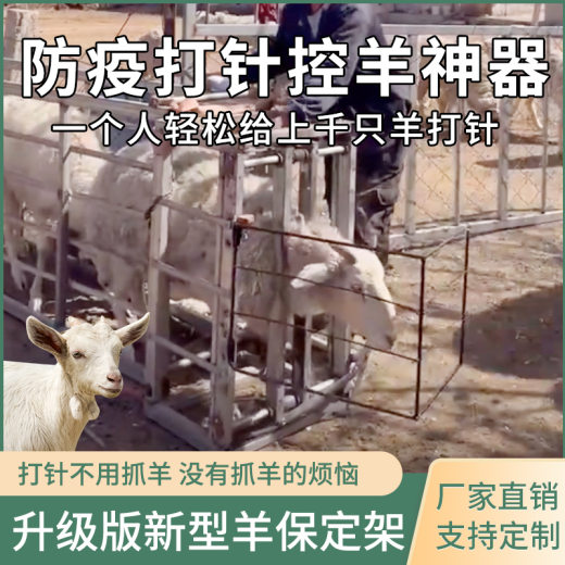 羊防疫架子
