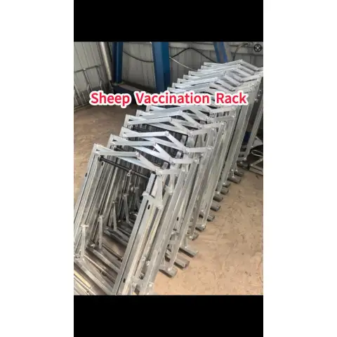 Episode Racks für Schafe