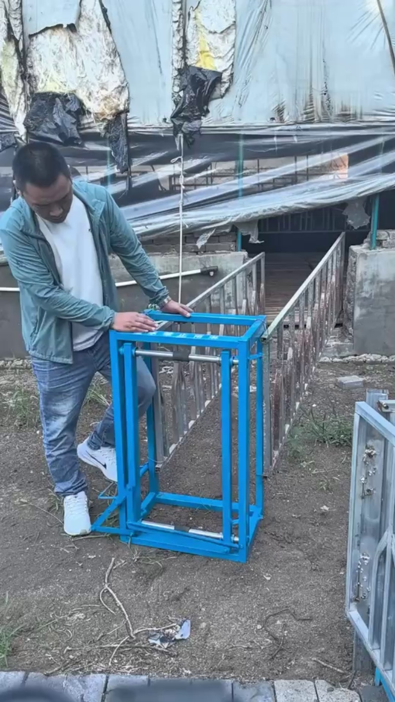 Koyunlar için bölüm rafları