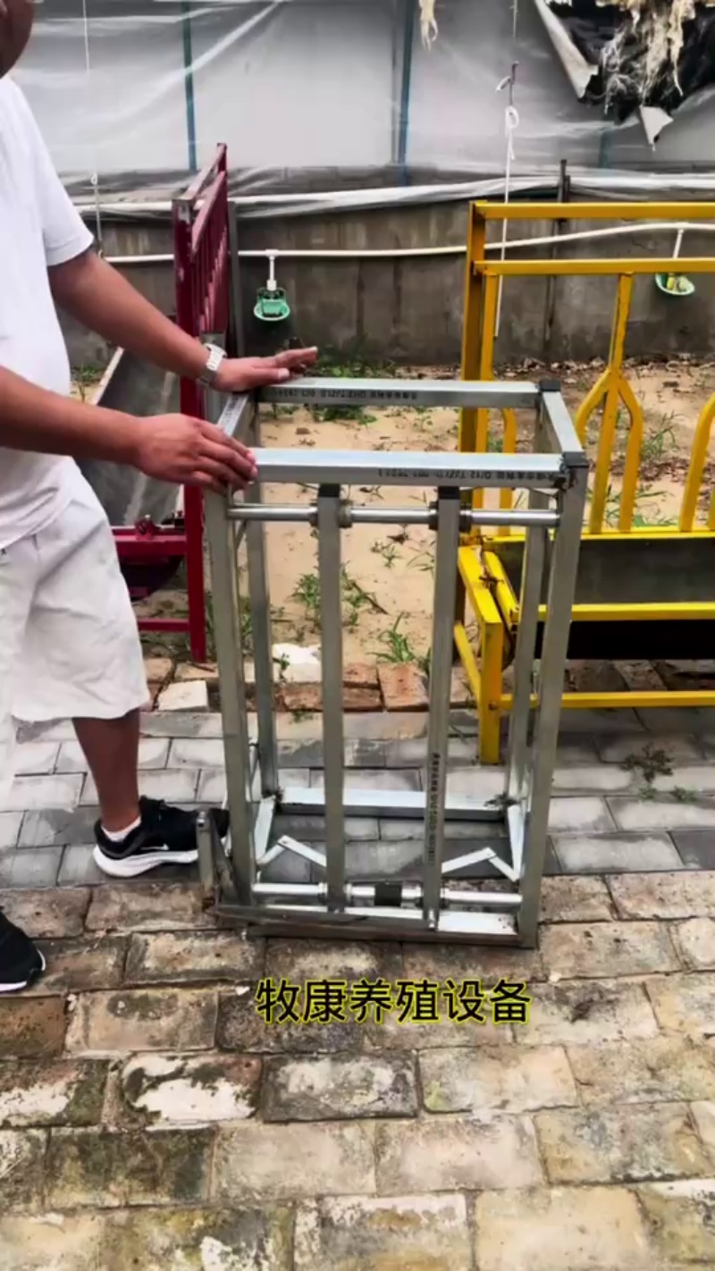 Koyunlar için bölüm rafları
