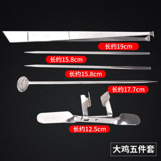 4_专业版大鸡五件套