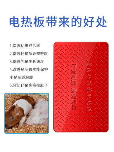 主图4