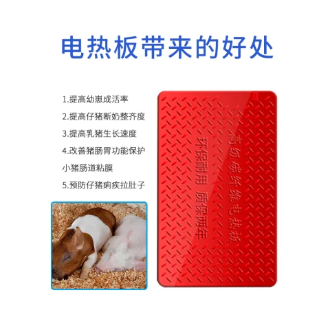مجلس (بورك إلكترون)