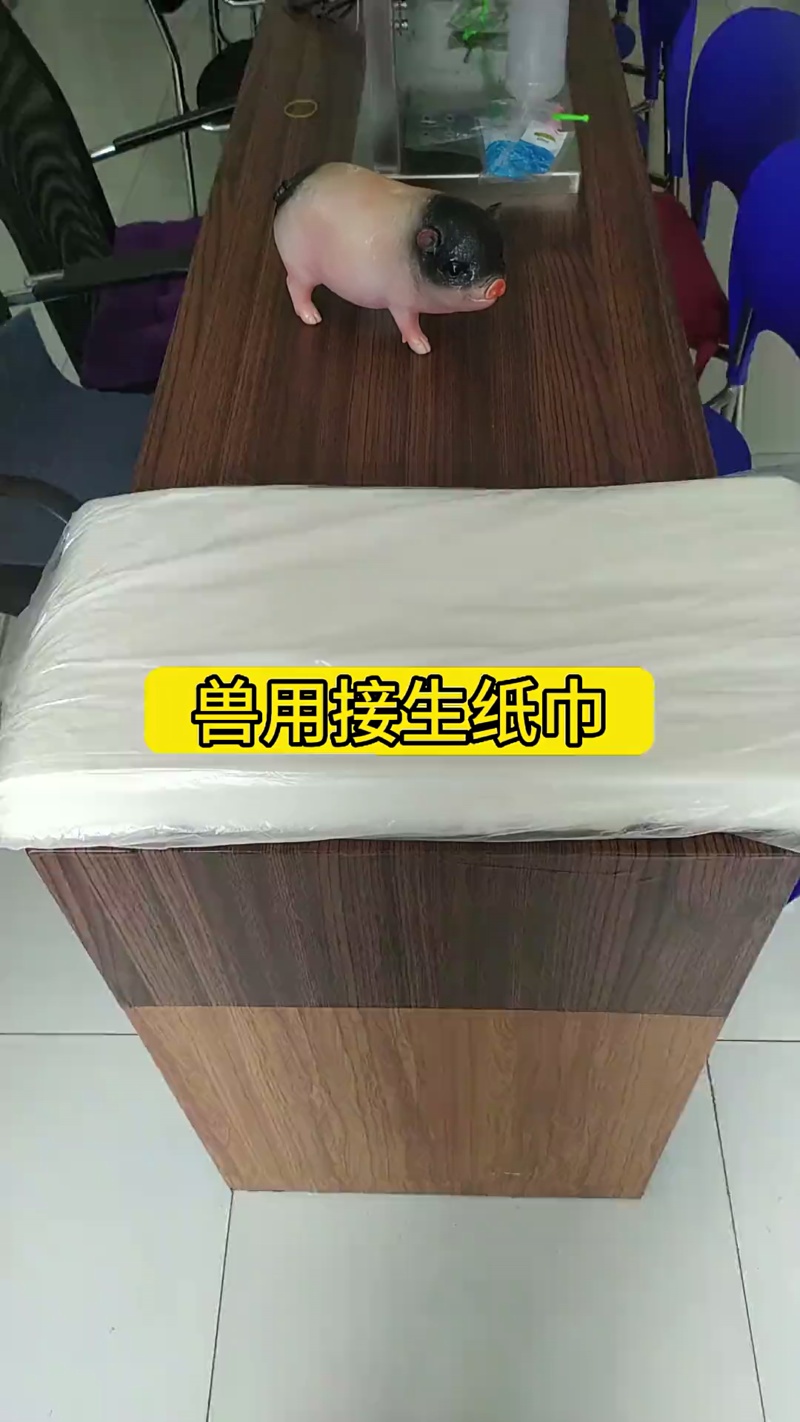 Product #161