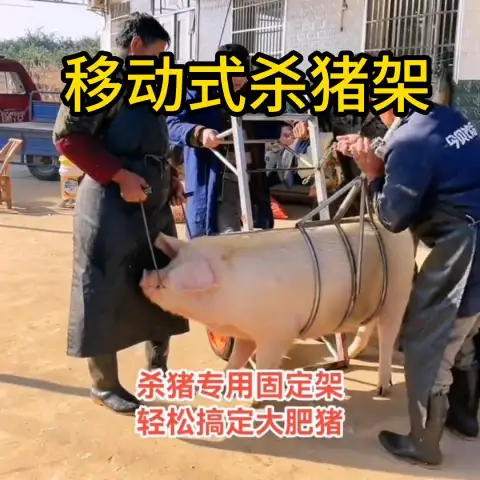 Porte-roquettes mobiles pour le meurtre des porcs