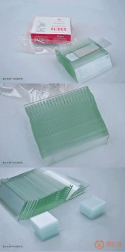 载玻片_02