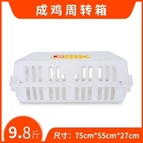 Product #180